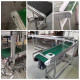 3060 belt conveyor roller adjustment tension assembly line