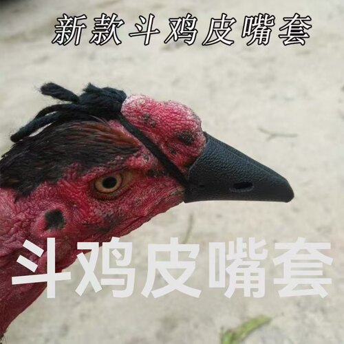 斗鸡皮嘴套斗鸡嘴套斗鸡打架嘴套 - 图2
