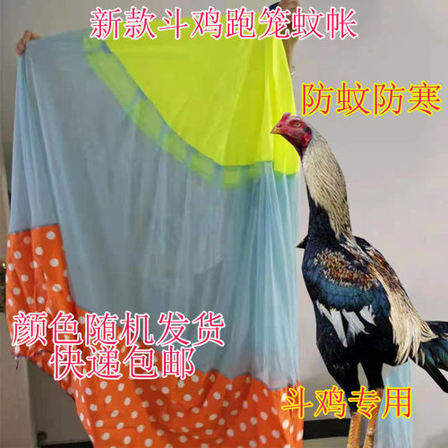斗鸡蚊帐 斗鸡防寒用品 斗鸡防寒蚊帐 斗鸡训练用品 泰国斗鸡用品 - 图1