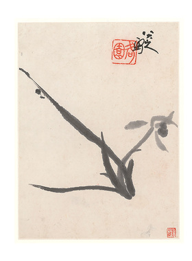 1:1 朱耷八大山人 花鸟册页 古代名画高清微喷国画复制临摹装饰画