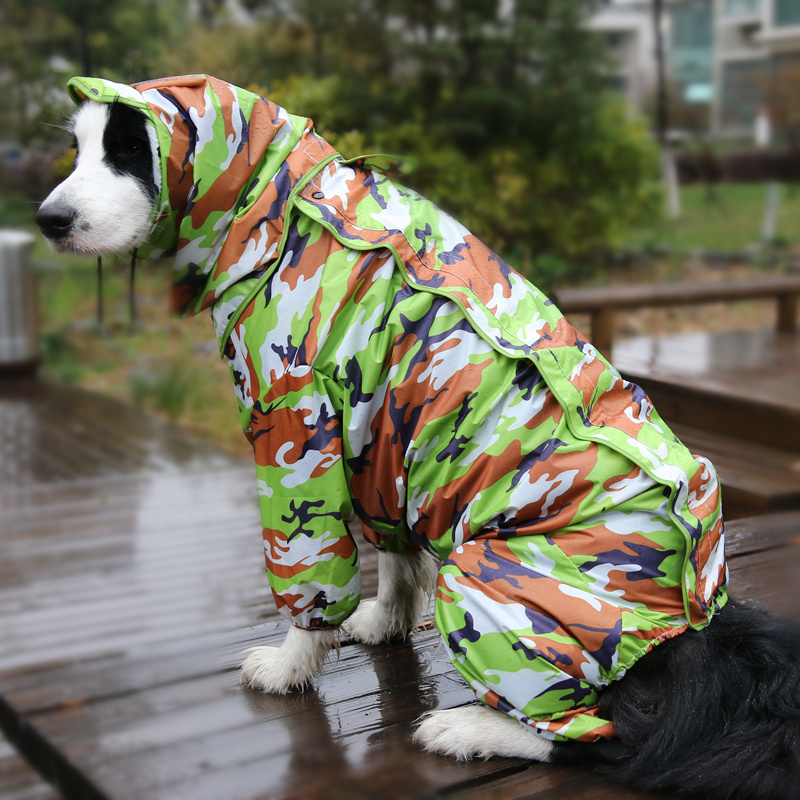 狗狗雨衣全包露腹中大型犬泰迪比熊金毛萨摩宠物连体四脚衣服雨衣 - 图2