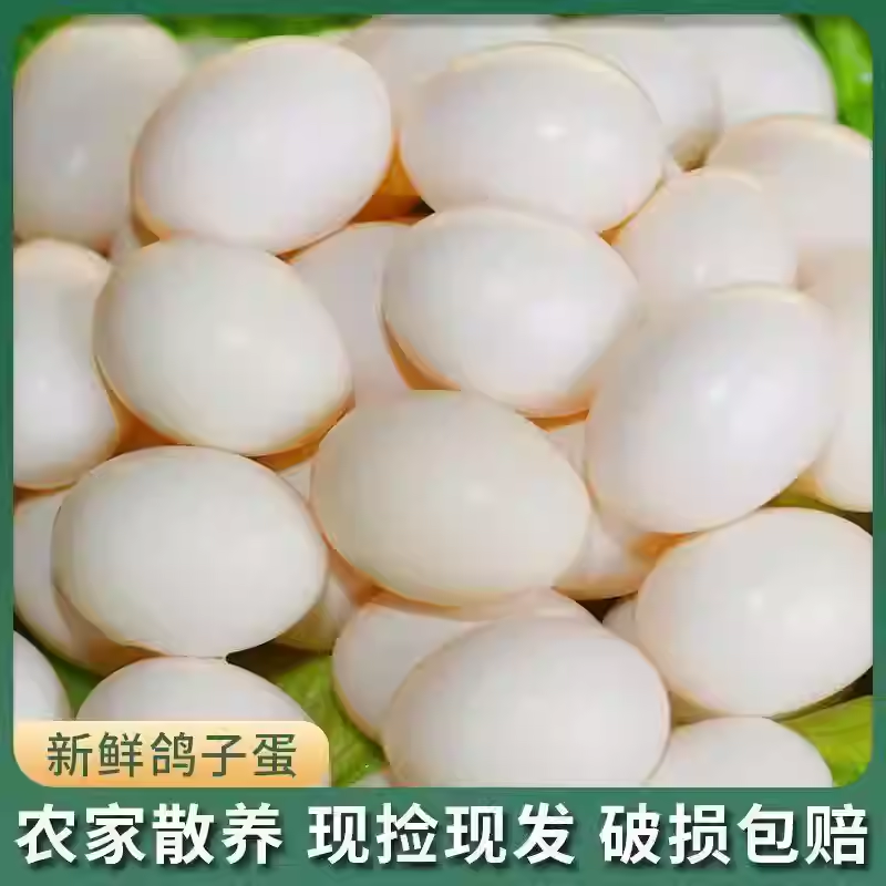 鸽子蛋新鲜初生蛋农家五谷杂粮散养孕妇宝宝营养送礼佳品,淘宝优惠券,粉丝福利购,淘宝优惠卷