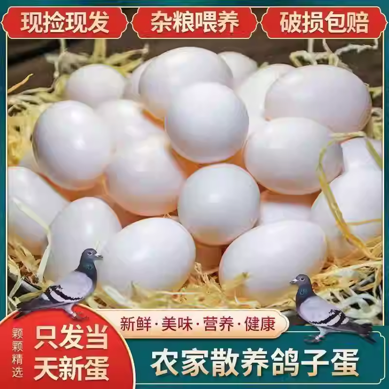 鸽子蛋新鲜初生蛋农家五谷杂粮散养孕妇宝宝营养送礼佳品,淘宝优惠券,粉丝福利购,淘宝优惠卷