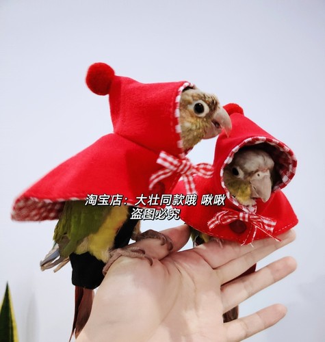 薄款小红帽 鸟衣服鹦鹉披风玄凤春款外出服拍照斗篷包邮 - 图0