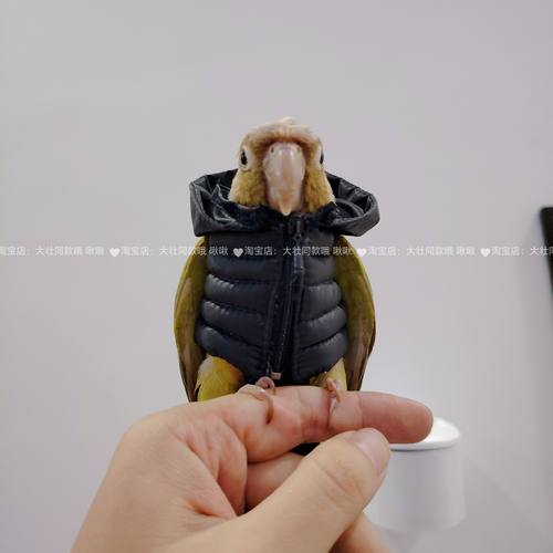 鹦鹉羽绒服鸟衣服鹦鹉棉外套玄凤加厚保暖外出服鹦鹉用品鸟用品 - 图2