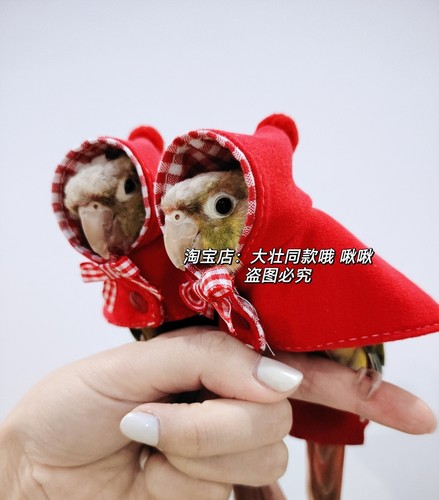 薄款小红帽 鸟衣服鹦鹉披风玄凤春款外出服拍照斗篷包邮 - 图2