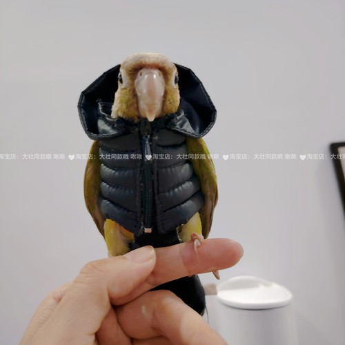 鹦鹉羽绒服鸟衣服鹦鹉棉外套玄凤加厚保暖外出服鹦鹉用品鸟用品 - 图1