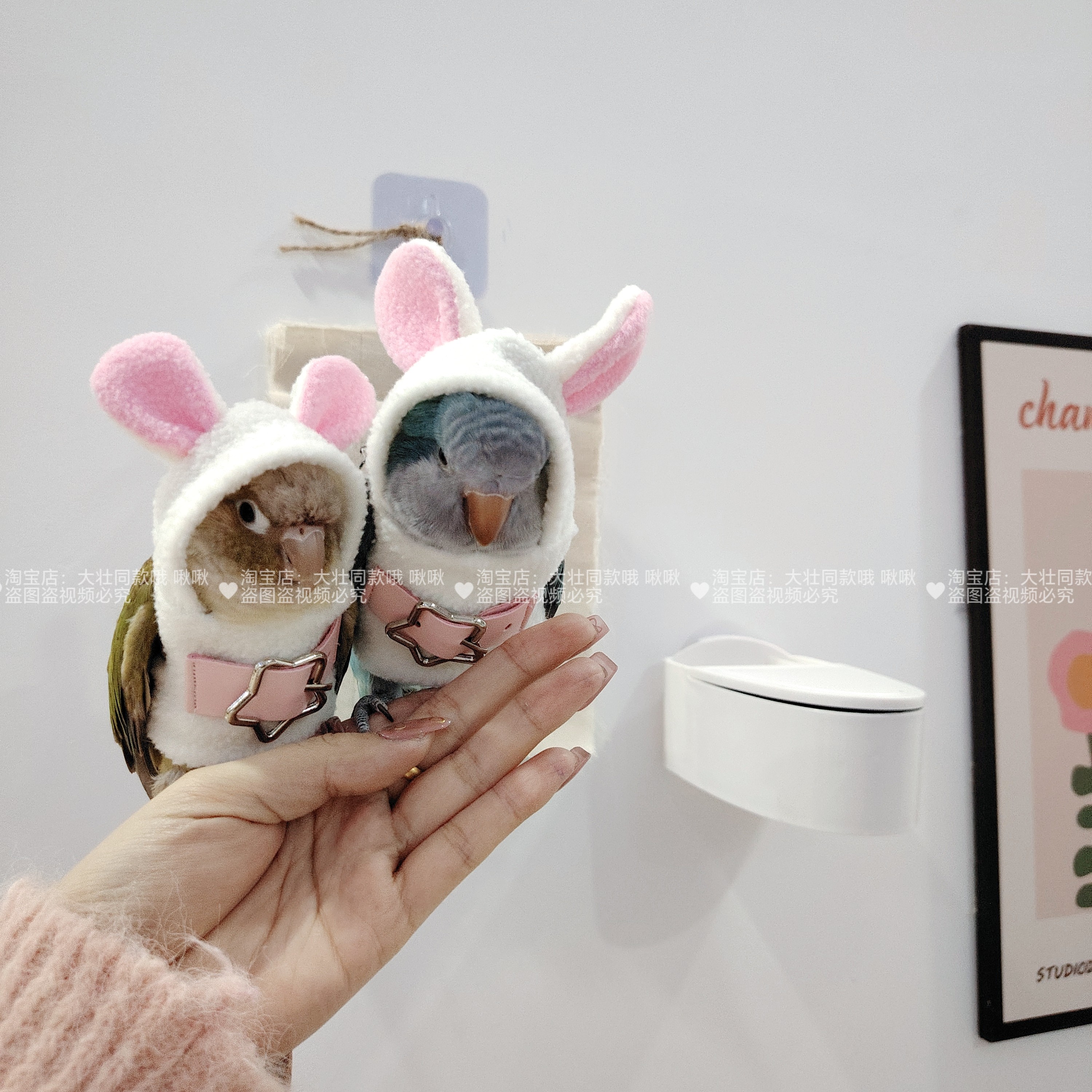 小型宠物玄凤鹦鹉鸟衣服冬季加绒加厚保暖卫衣飞行棉服小兔造型,淘宝优惠券,粉丝福利购,淘宝优惠卷