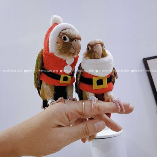 小型鹦鹉鸟保暖过冬厚款卫衣可爱卖萌衣服带领子帽子圣诞服鸟用品 - 图0