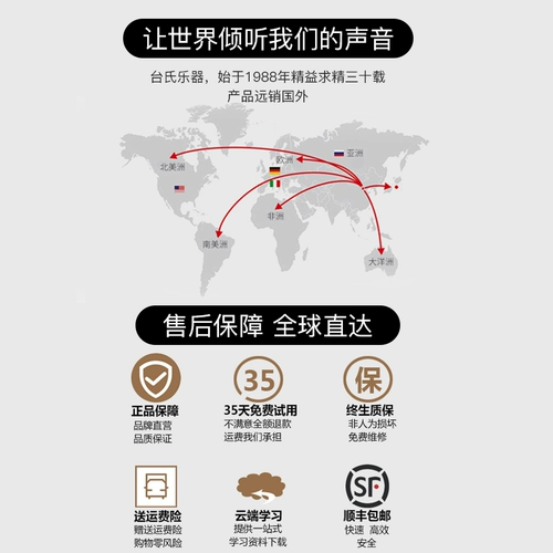 台氏 Импортная профессиональная скрипка, освещение для пианино, «сделай сам», Италия