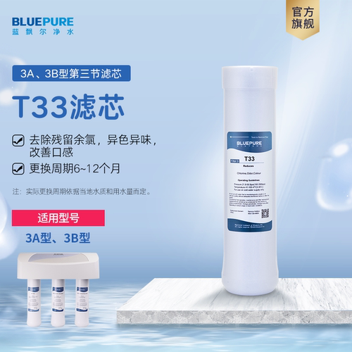 蓝飘尔净水器3B滤芯UF超滤膜T33滤芯家用耗材优惠组合装 - 图2