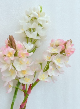 仿真花 圣心百合 雀梅 单枝白粉色假花室内家居装饰 摄影道具花卉