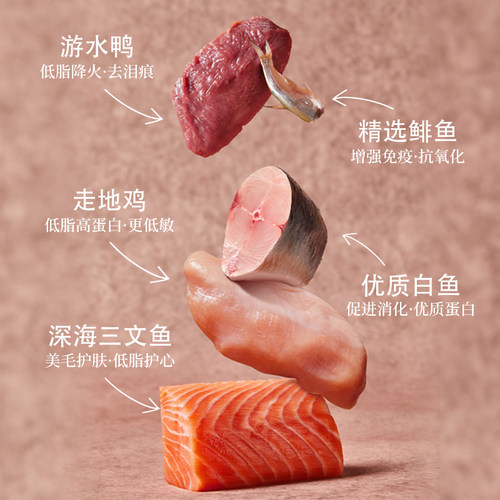 美国进口Fromm福摩狗粮鸭肉甜薯幼犬小型犬老犬全价粮大型犬泰迪 - 图3