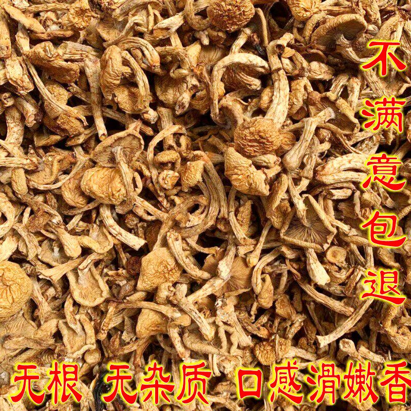 新货东北特产滑子菇滑子蘑菇干货滑菇小黄蘑小鸡炖蘑菇500g_虎窝淘