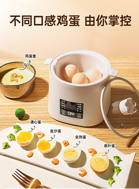 煮蛋蒸蛋自动断电家用煮蛋神器溏心茶叶蛋温泉蛋早餐酸奶机