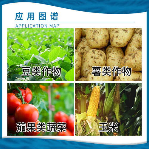 国光朋 99%高纯度硼肥授粉防落花落果促花芽分化叶面肥100g送量勺 - 图2