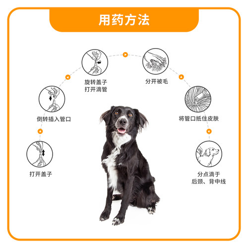 爱沃克狗狗猫咪体内外一体驱虫药宠物狗猫体内体外滴剂犬耳螨幼猫 - 图2