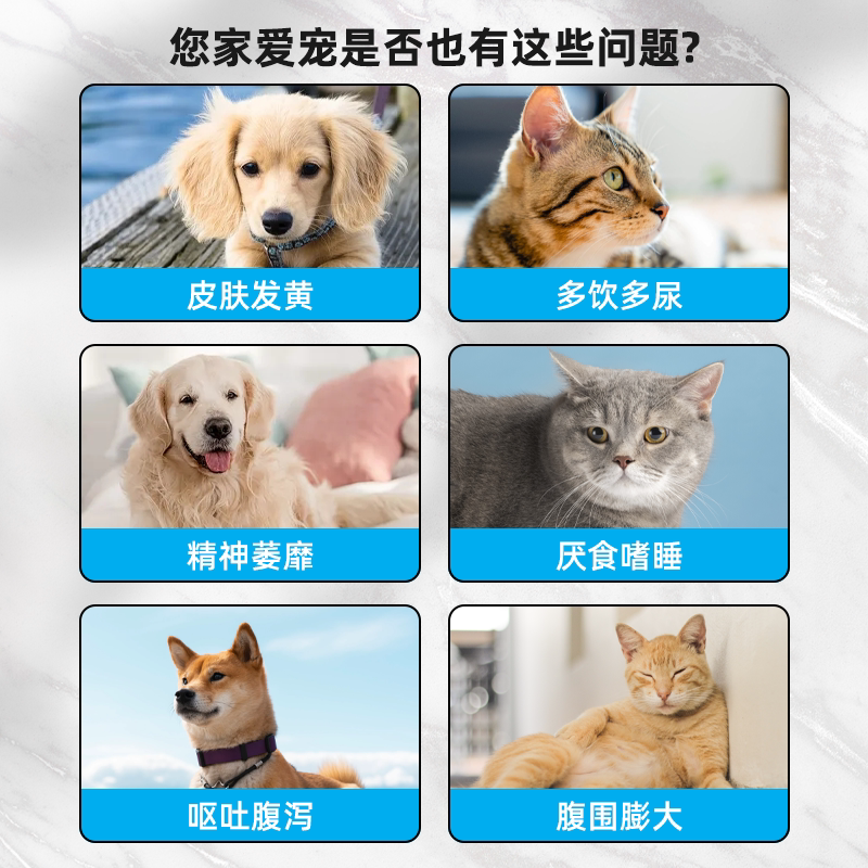 复方甘草酸苷片保苷平宠物肝炎黄疸腹水肝损伤保肝片狗狗猫咪护肝