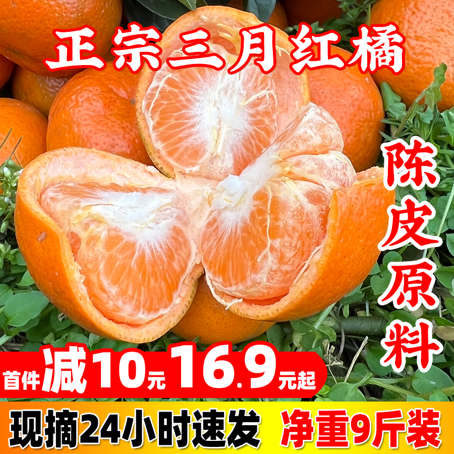 万州三月红桔川红橘小柑新鲜陈皮孕妇水果大红袍正宗重庆老树柑子