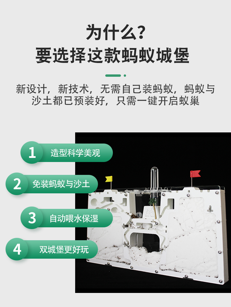 双城堡 免装版蚂蚁工坊屋窝巢房家园庄园送蚁后沙大型生态箱小宠 - 图1