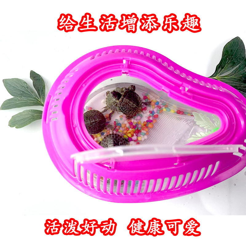 家庭观赏乌龟缸带晒台露台水龟金龟缸龟箱塑料透明缸乌龟活体养龟,淘宝优惠券,粉丝福利购,淘宝优惠卷