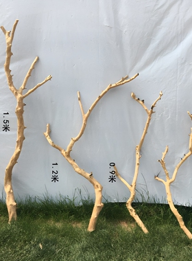 干树枝摆件原木去皮枯树杆灯架