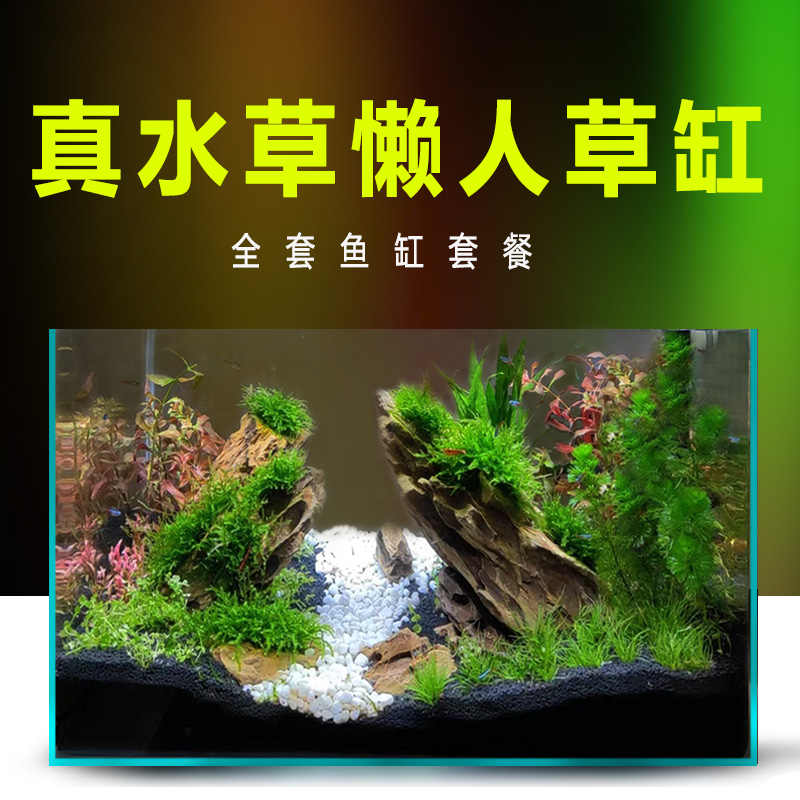 真水草包邮 新人首单立减十元 21年9月 淘宝海外 真水草包邮 新人首单立减十元 21年9月 淘宝海外