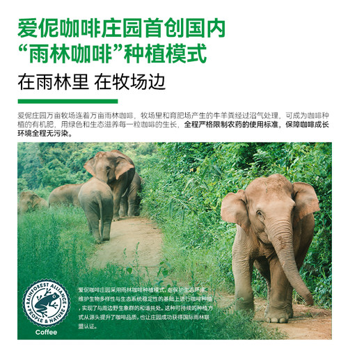 爱伲庄园 云南普洱有机咖啡豆 精品手冲意式阿拉比卡豆可磨粉500g - 图2