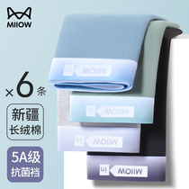 Cat Man Underpants Guys pure cotton 100% All cotton crotch Four corner Short pants Teenagers New Flat Corner Pants Head Men s