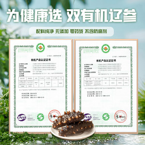 鑫玉龙有机即食海参1000g2斤大连海鲜辽刺参500g*2袋营养补品礼盒