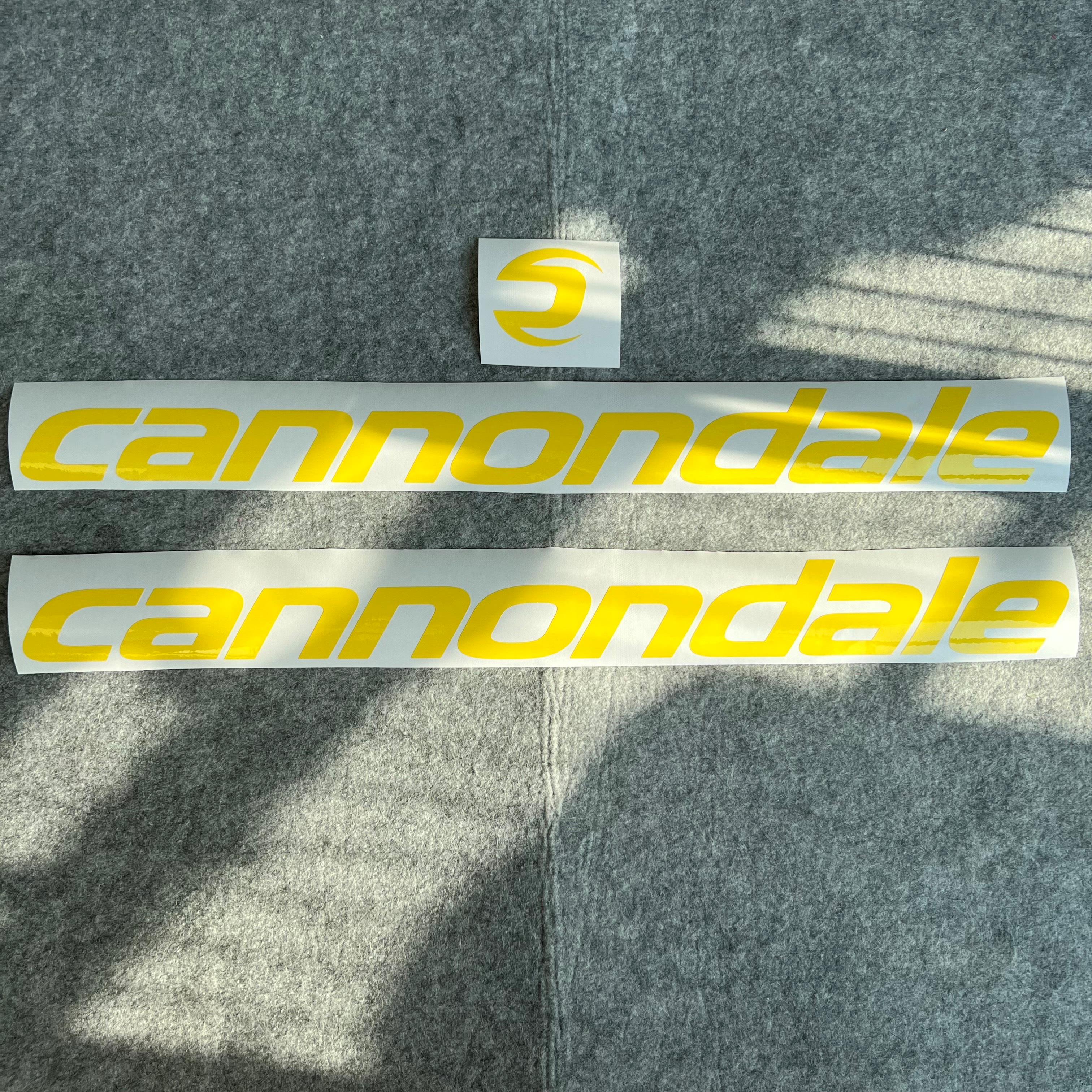 佳能戴尔CANNONDALE公路车山地车logo 覆盖 贴纸 贴花定制 - 图2