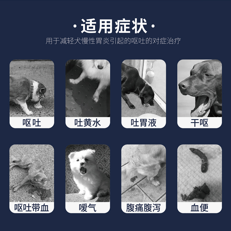 singenvet信康宁西咪替丁片犬用药品药片减缓狗狗呕吐腹泻胃酸 - 图0