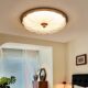 New Chinese style solid wood iron eye-protecting atmospheric ceiling lamp