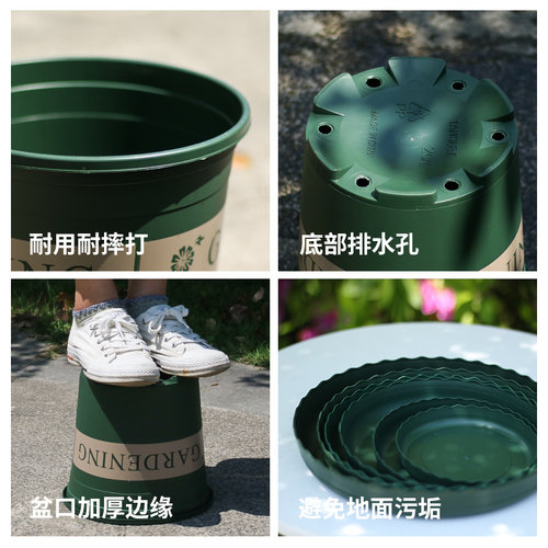 老花农 园艺加仑盆 1/2/3加仑圆形塑料花盆家用绿萝月季种植花盆 - 图0