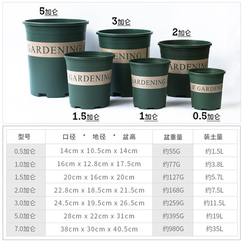 老花农 园艺加仑盆 1/2/3加仑圆形塑料花盆家用绿萝月季种植花盆 - 图1