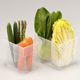 Japanese imported refrigerator fruit and vegetable storage box