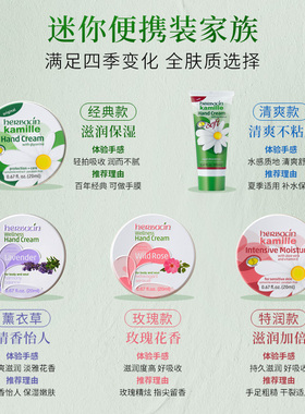 【拍立减】德国小甘菊口袋小铁