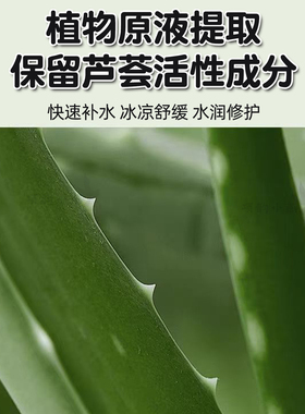 韩国得鲜济州岛芦荟胶修复凝胶