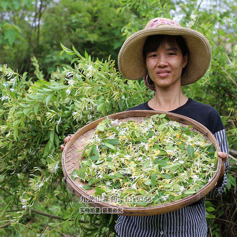 金银花干花药材瓶装无硫花茶带绒毛金银花干花草茶200g凉茶草药材