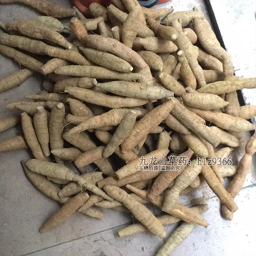深山牛大力薯广东煲汤料金钟根农家新鲜现挖山莲藕泡酒煲汤草药材 - 图2