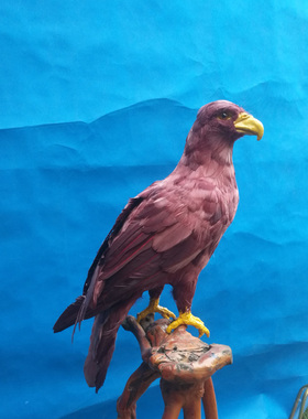 办公书房摆件丐帮老雕吓鸟鹅毛