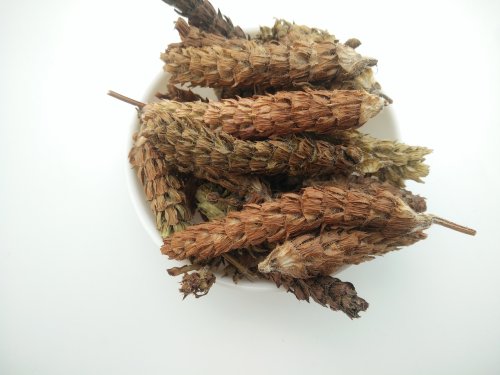 夏枯草中药材夏枯球野生新鲜中草药夏菇球草 夏茹球500克2斤包邮 - 图3