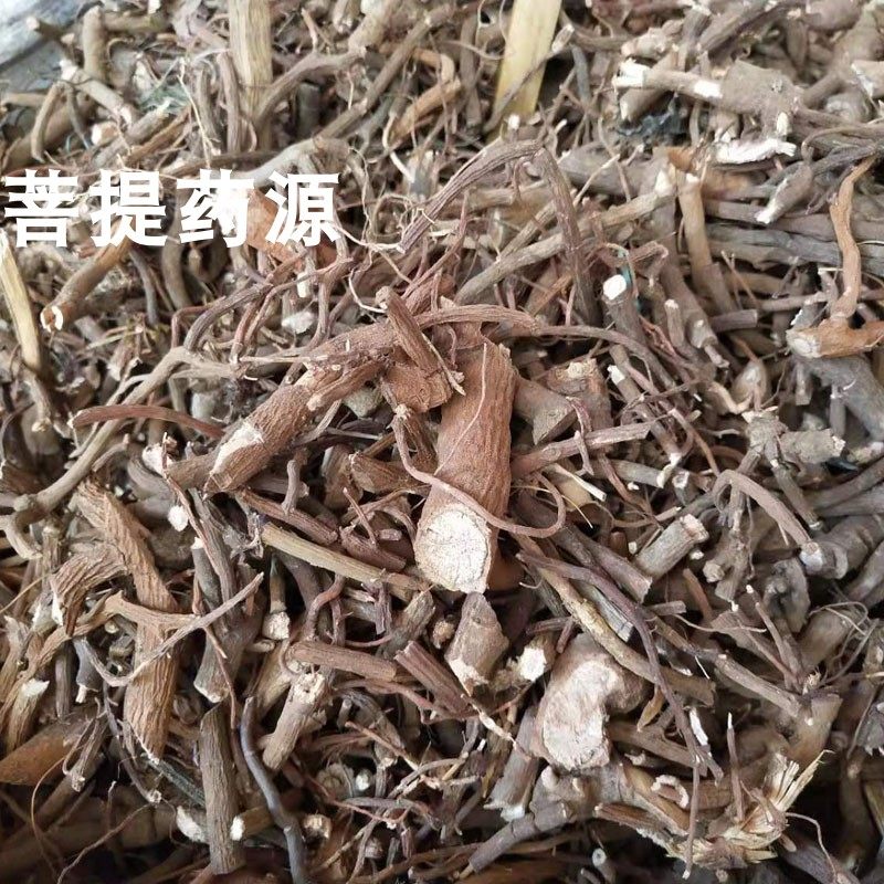 朱砂根中药材小罗伞500克包邮珍珠盖凉伞斑叶朱砂跟山血丹小凉伞_虎窝淘