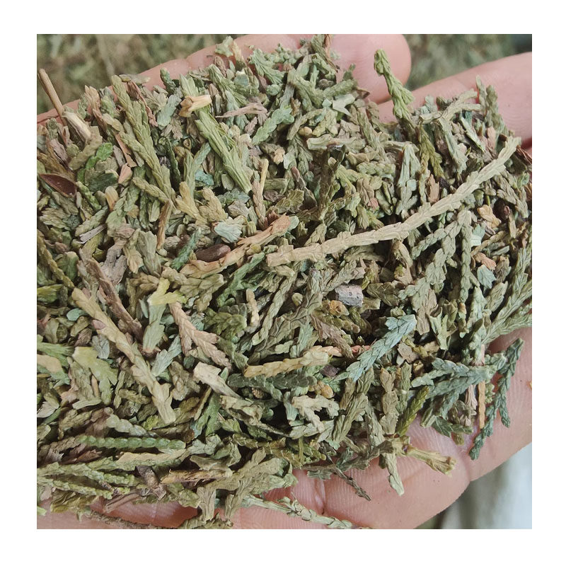 侧柏叶中草药则柏叶扁柏叶生发乌发中药材制何首乌干姜皂角无患子_虎窝淘