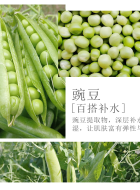 法兰玫天然植物种子豌豆原液面部护肤深层补水保湿控油美容院专用
