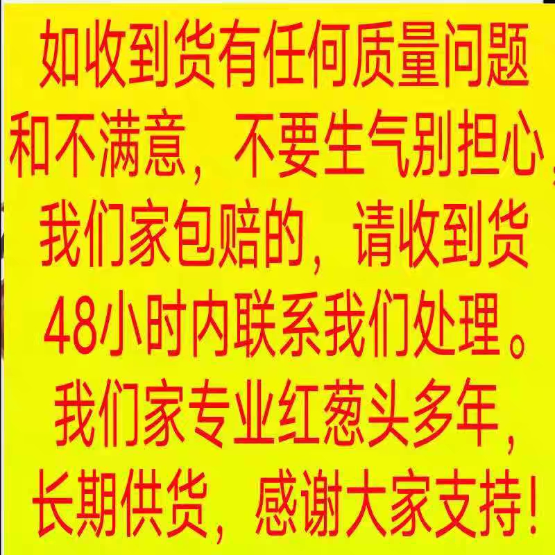 红葱头新鲜干香葱头珠葱单粒小洋葱熬葱油酥卤肉饭广东发1份包邮-图1