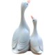 The fiery red illusion duck shape is cute and durable
