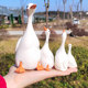 The fiery red illusion duck shape is cute and durable