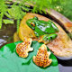 Micro landscape creative simulation frog small ornaments