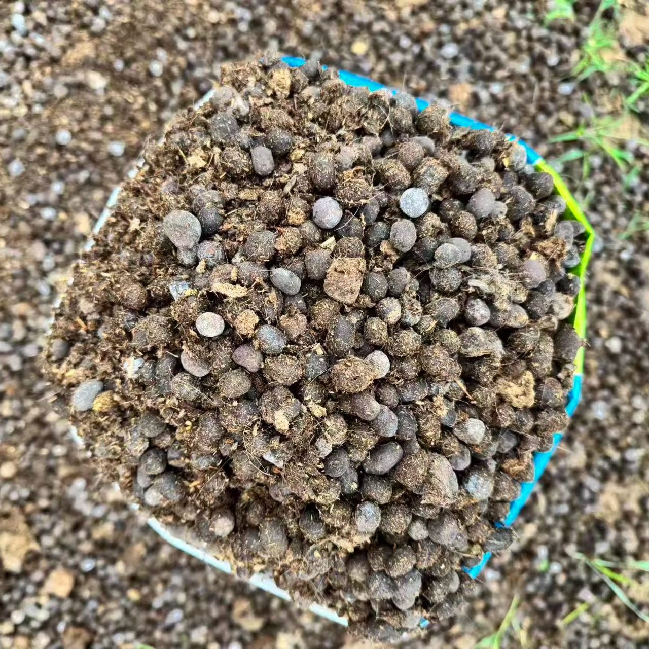 羊粪发酵有机肥 农家肥 纯干羊粪蛋颗粒养花种菜花卉园艺通用肥料,淘宝优惠券,粉丝福利购,淘宝优惠卷